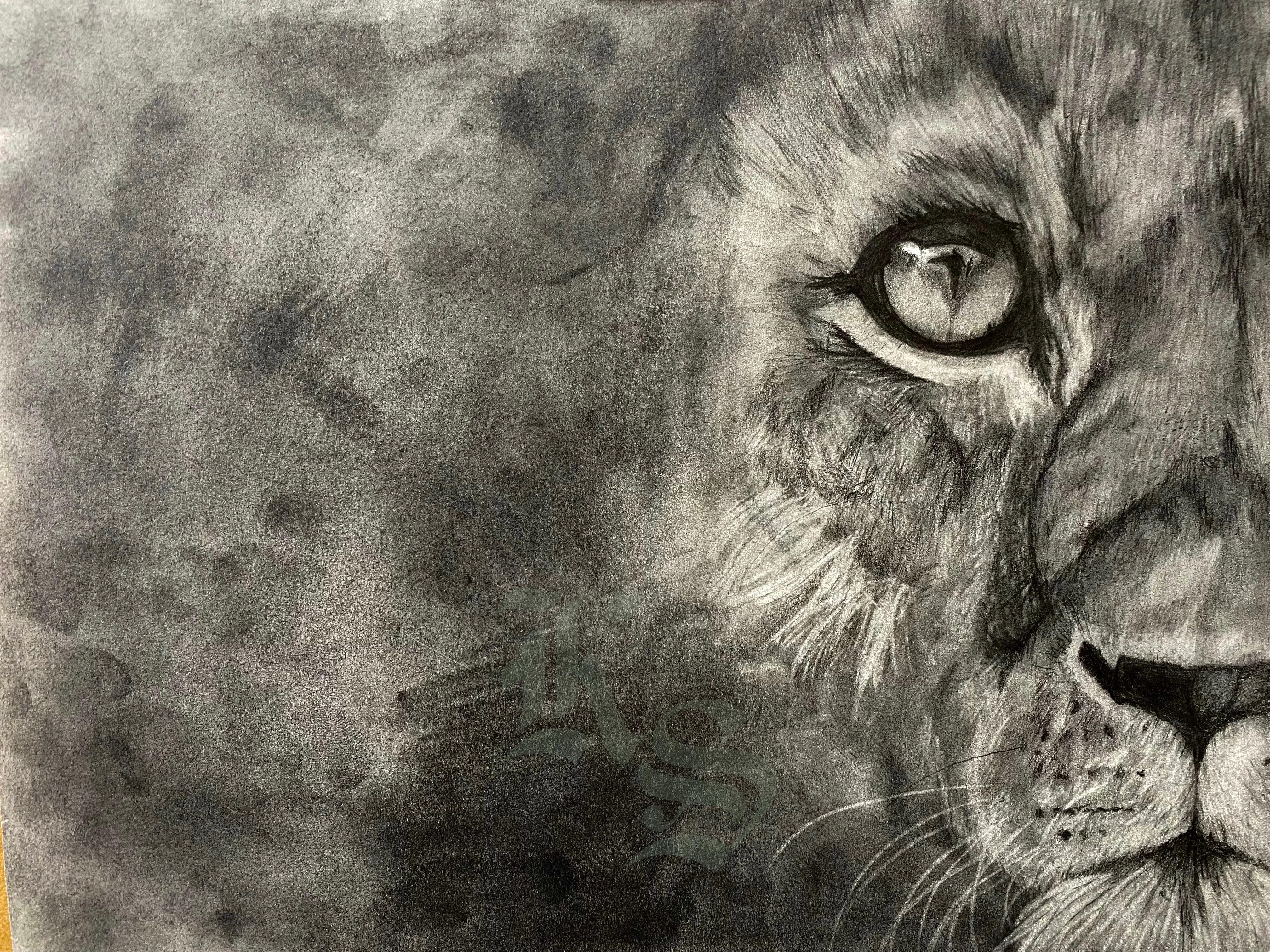 Charcoal drawing of a lion’s face emerging from heavy darkness, one eye catching the light as the rest dissolves into shadow.
